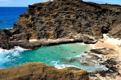 Oahu’s Ultimate Tour: Dole, Turtle Snorkel, Pali Lookout & More