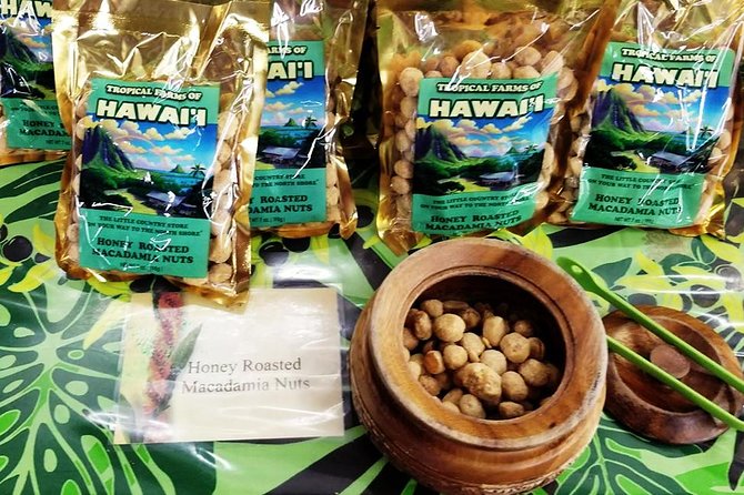 Oahu's Ultimate Tour: Dole, Turtle Snorkel, Pali Lookout & More - Mokoliʻi and the North Shore window seat