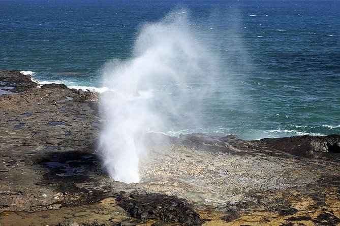 Oahu's Ultimate Tour: Dole, Turtle Snorkel, Pali Lookout & More - The turtle snorkeling stop at Haleiwa