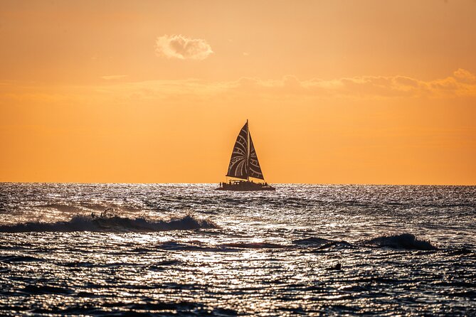 Oahu's Waikiki Coast: Moana’s Sunset Cocktail Sail - Wildlife from November through May