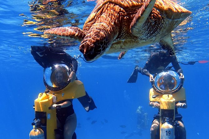 Oahu: Submarine Scooter Adventure - Five things to know before you book