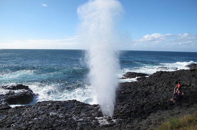 Oahu Ultimate Circle Island Tour Full Day Experience - Kahuku shrimp and the Seven Mile Miracle