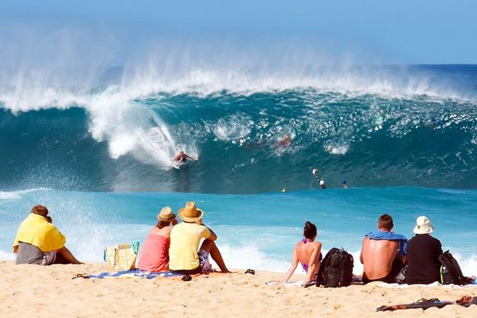 Oahu Ultimate Circle Island Tour Full Day Experience - The one-hour turtle beach stop