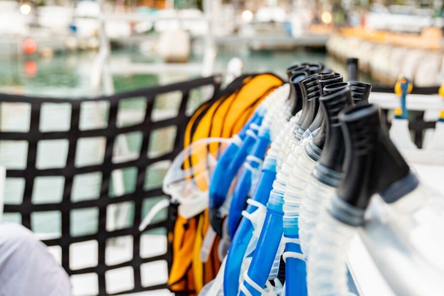Oahu: Waikiki Turtle Canyons Cruise and Snorkel Excursion - Key things to know before booking