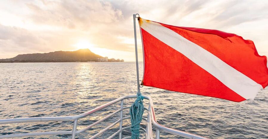 Oahu: Waikiki Turtle Canyons Cruise and Snorkel Excursion - From Kewalo Basin to Waikiki’s open water