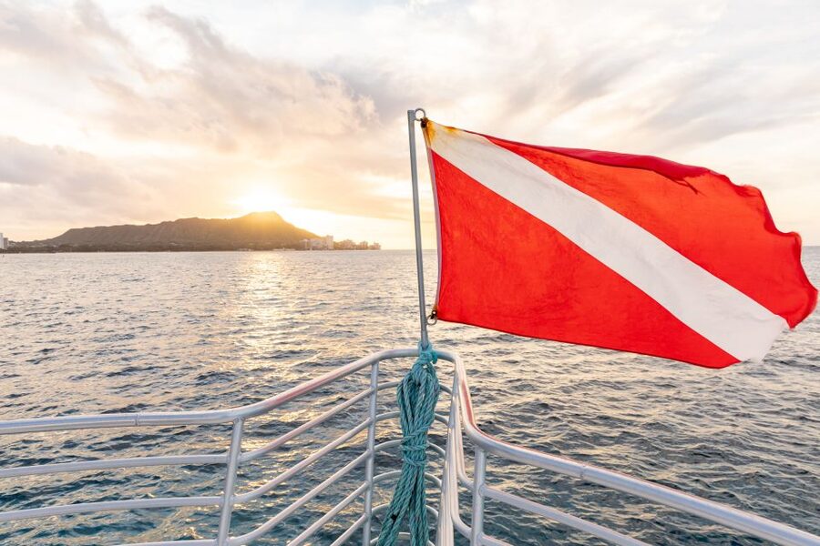 Oahu: Waikiki Turtle Canyons Cruise and Snorkel Excursion - Turtle Canyon and the search for sea turtles