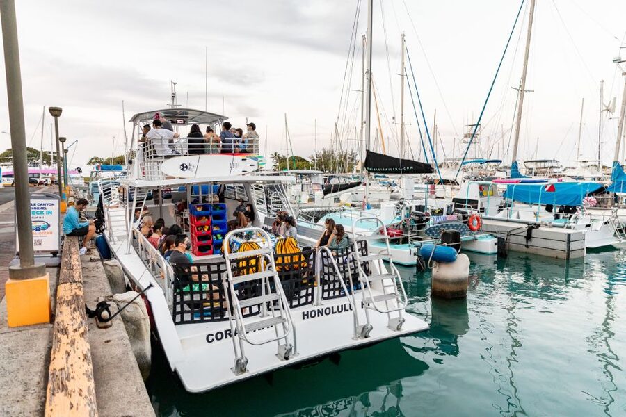 Oahu: Waikiki Turtle Canyons Cruise and Snorkel Excursion - Fish, coral, and what you will actually see