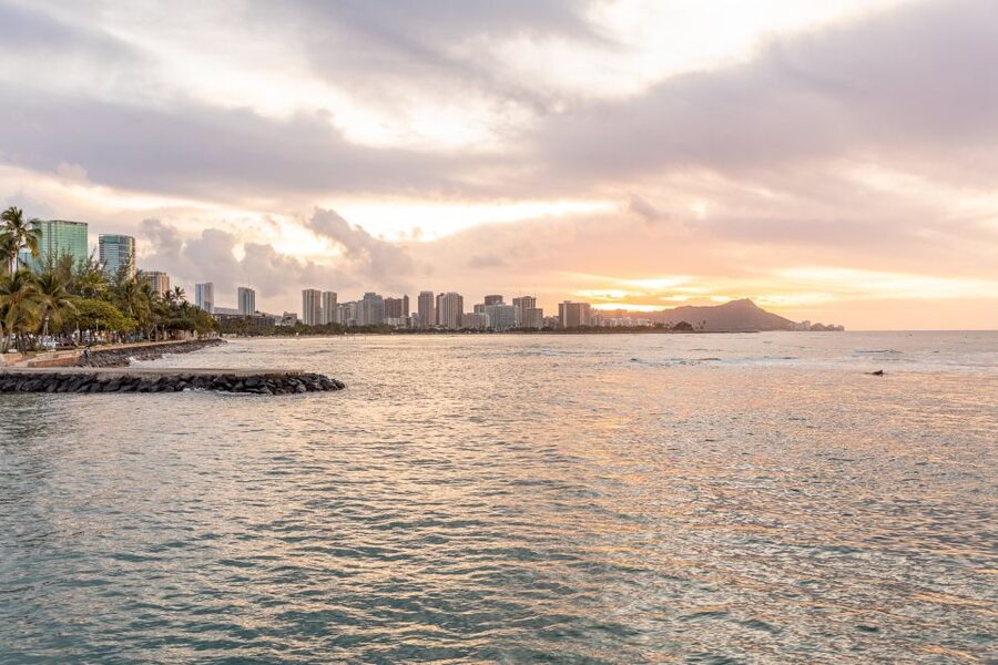 Oahu: Waikiki Turtle Canyons Cruise and Snorkel Excursion - The honest drawbacks: crowds, waves, and seasickness