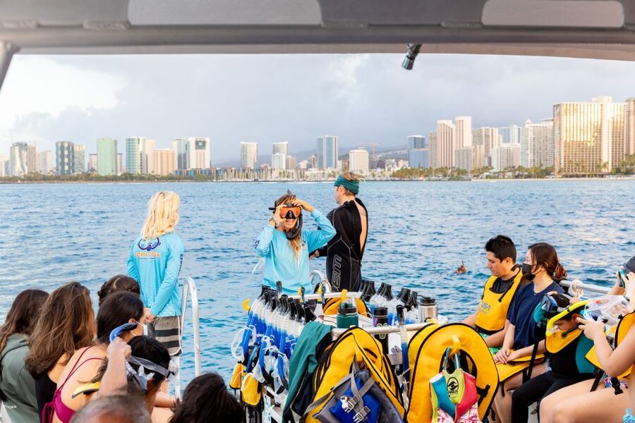 Oahu: Waikiki Turtle Canyons Cruise and Snorkel Excursion - Is $89 a fair price?