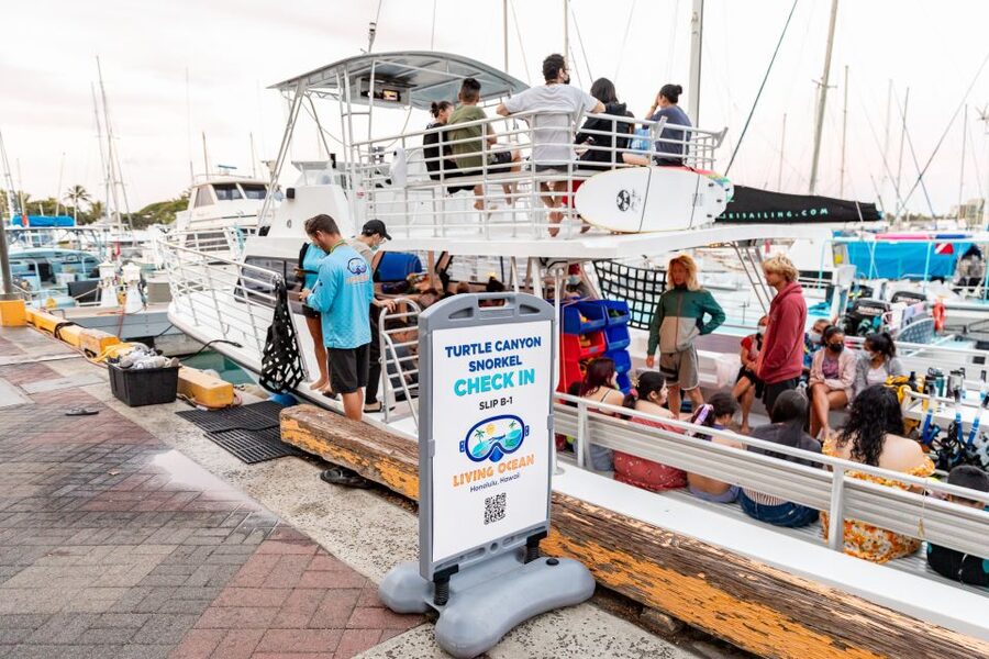 Oahu: Waikiki Turtle Canyons Cruise and Snorkel Excursion - Who will enjoy this excursion most?