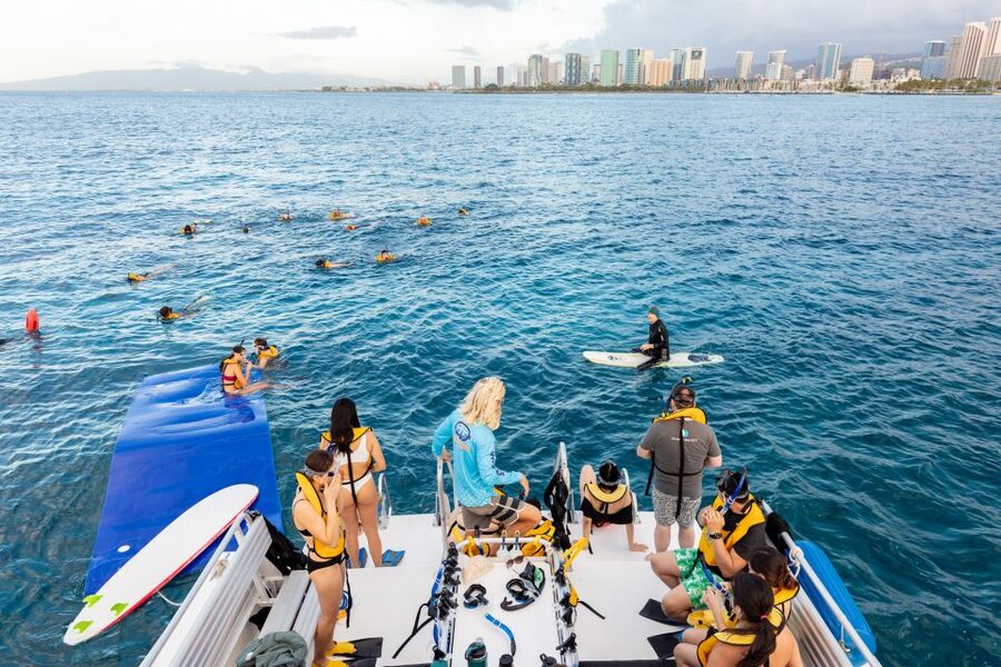 Oahu: Waikiki Turtle Canyons Cruise and Snorkel Excursion - Why the safety system matters at Turtle Canyon