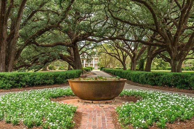 Oak Alley Plantation and Large Airboat Swamp Tour from New Orleans - The large airboat, shallow water, and open views