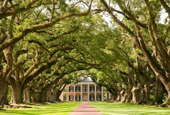 Oak Alley Plantation Tour with Transportation from New Orleans - Key points to know before you book