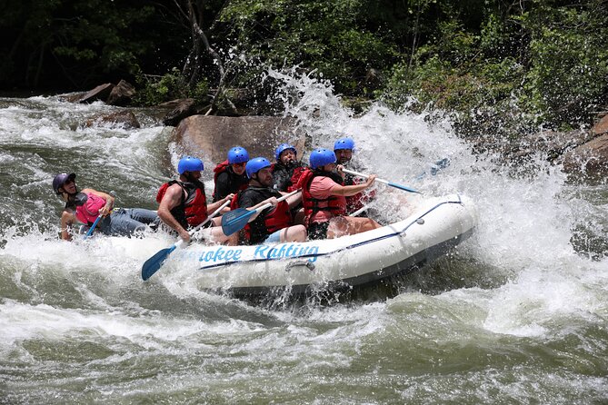 Ocoee River Middle Whitewater Rafting Trip (Most Popular Tour) - Is $48 a Good Price?
