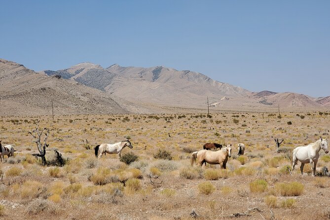Off Road UTV Adrenaline Experience in Las Vegas - The views, mine tailings, and photo stop
