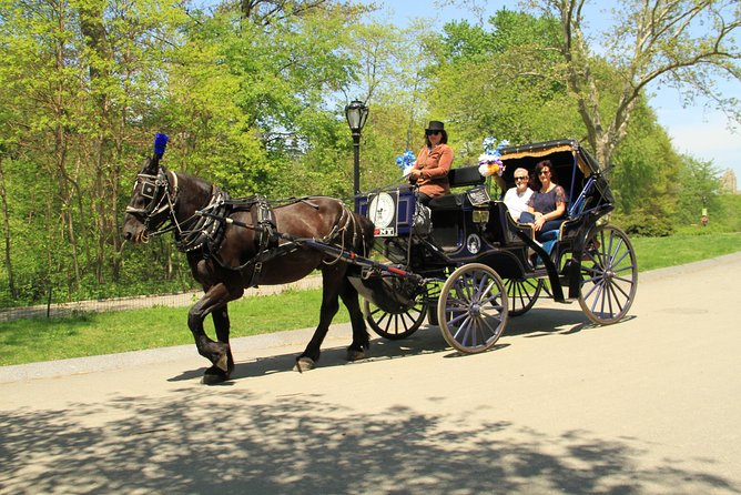 Official NYC Horse Carriage Rides in Central Park since 1979 ™ - Five things to know before you book