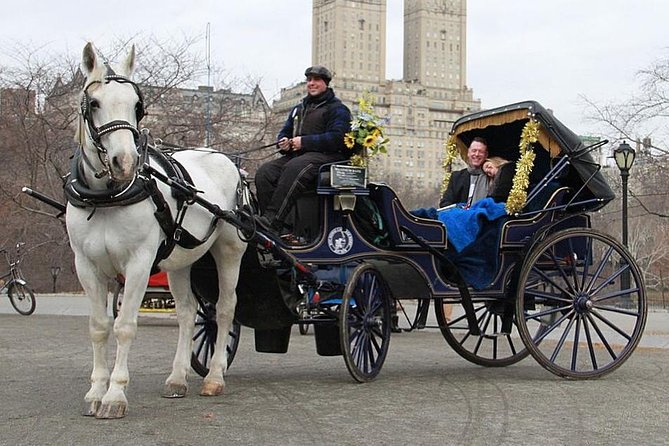 Official NYC Horse Carriage Rides in Central Park since 1979 ™ - Why a carriage is a useful way to see Central Park