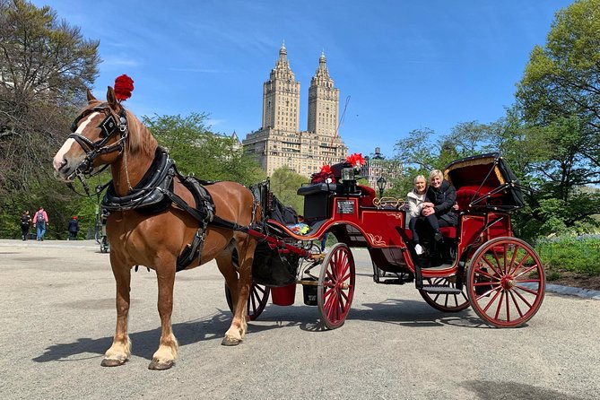 Official NYC Horse Carriage Rides in Central Park since 1979 ™ - Meeting the carriage near West 59th Street