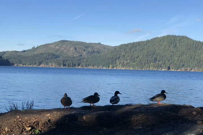 Olympic National Park Small Group Day Tour w/Scenic Ferry 2CanGo - Lunch, snacks, and the practical comfort level