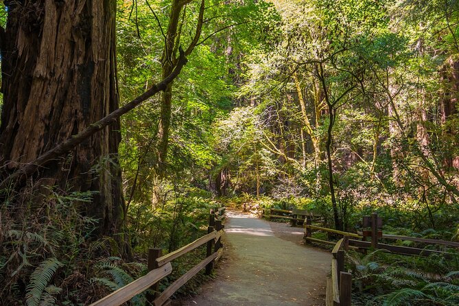 One Day in San Francisco: Alcatraz, Muir Woods, and SF City Tour - A full San Francisco day without the parking headache