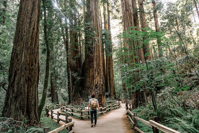 One Day in San Francisco: Alcatraz, Muir Woods, and SF City Tour - Golden Gate Bridge views from more than one angle