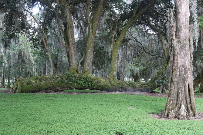 One-Hour Airboat Ride Near Orlando - The Native American Village and cultural displays