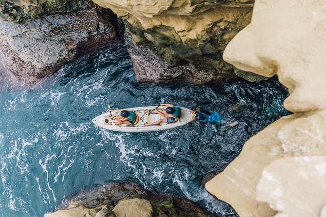 Original La Jolla Sea Cave Kayak Tour for Two - Wildlife sightings make the open-water sections worthwhile