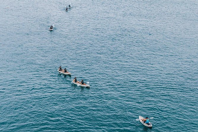 Original La Jolla Sea Cave Kayak Tour for Two - The physical effort is moderate, but the surf changes everything