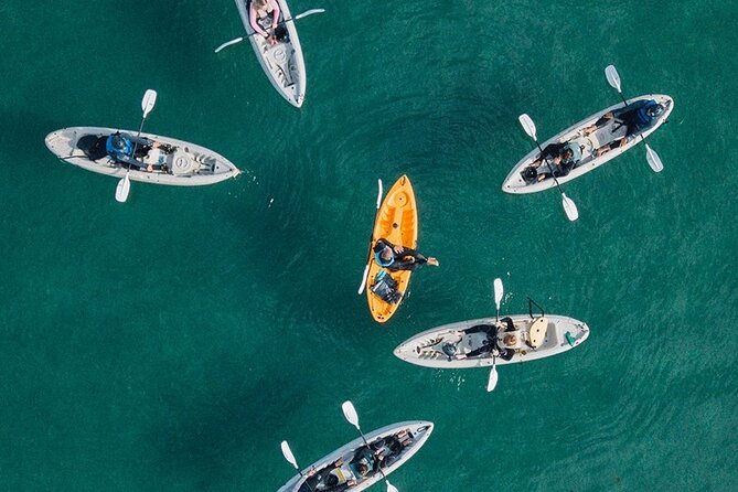 Original La Jolla Sea Cave Kayak Tour for Two - What happens before you reach the water