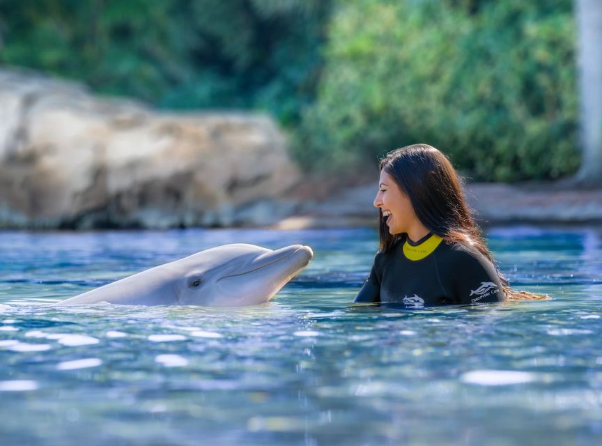 Orlando: Discovery Cove Admission Ticket & Additional Parks - Why Discovery Cove Feels Different From Orlando’s Big Parks