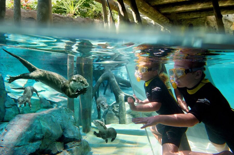 Orlando: Discovery Cove Admission Ticket & Additional Parks - Breakfast, Lunch, and the Real Meaning of All-Inclusive