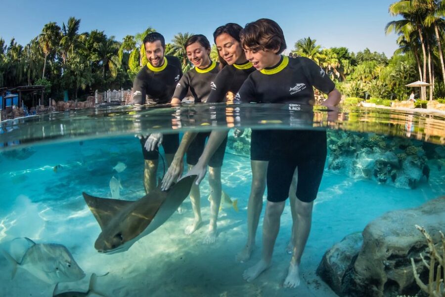 Orlando: Discovery Cove Admission Ticket & Additional Parks - Arriving at 6000 Discovery Cove Way