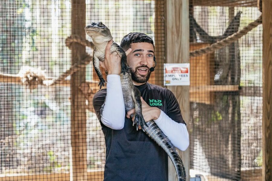 Orlando: Drive-Thru Safari Park at Wild Florida - Should you book the drive-through safari?