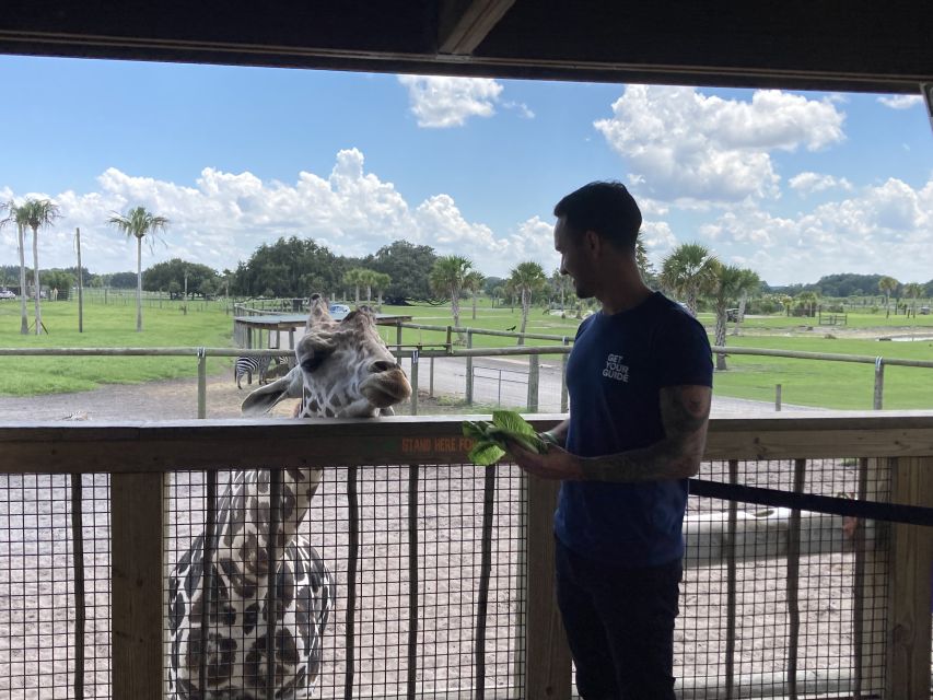 Orlando: Drive-Thru Safari Park at Wild Florida - Heat, shade, food, and the practical side