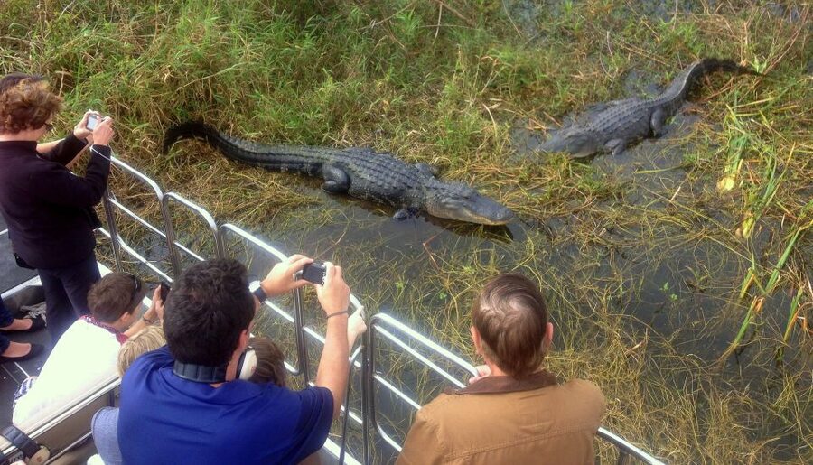 Orlando: Everglades Airboat Ride and Wildlife Park Ticket - Practical tips for a better visit