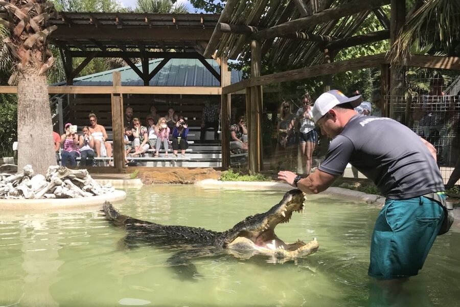 Orlando: Everglades Airboat Ride and Wildlife Park Ticket - The wildlife park adds real value