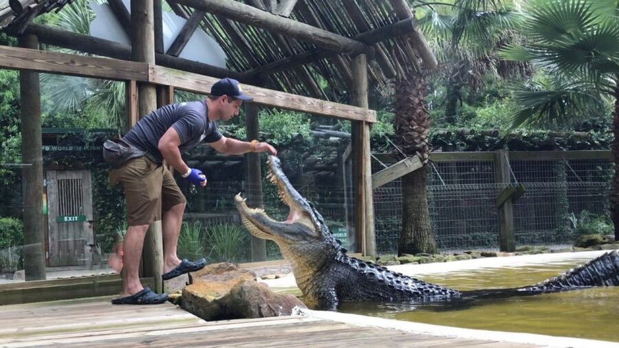 Orlando: Everglades Airboat Ride and Wildlife Park Ticket - How to plan your time on site