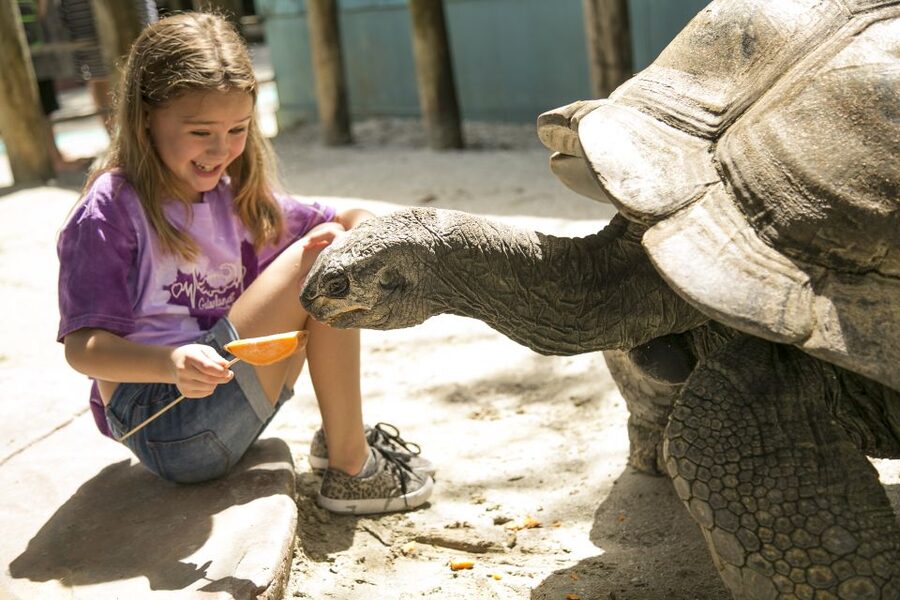 Orlando: Gatorland Skip-the-Line Ticket - Why Gatorland feels different from Orlando’s big parks