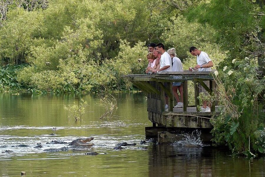 Orlando: Gatorland Skip-the-Line Ticket - Splash area, shade, and comfort