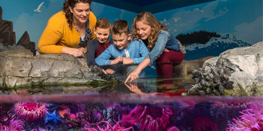 Orlando: SEA LIFE Orlando Aquarium - The optional shark VR experience