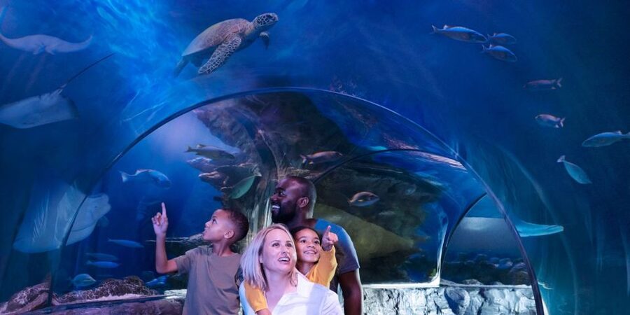 Orlando: SEA LIFE Orlando Aquarium - How long the visit really takes