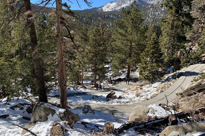 Palm Springs Aerial Tramway Admission Ticket - Key things to know before you go