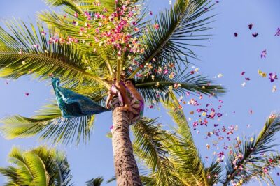 Paradise Cove Luau