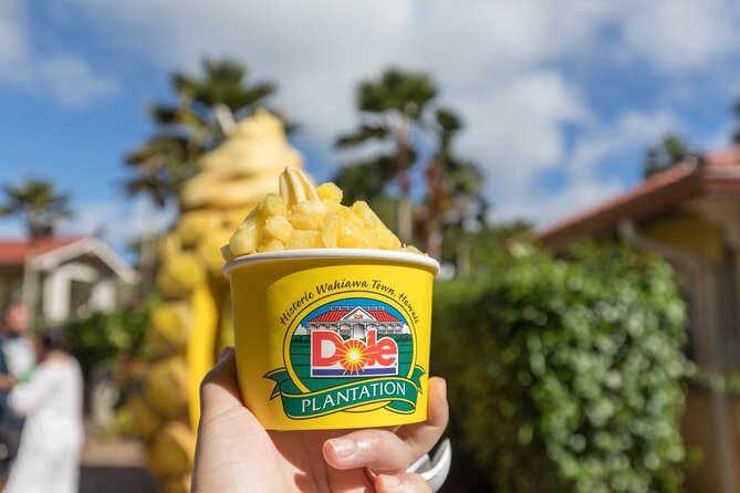 Pearl Harbor, Dole Plantation, and Polynesian Center from Waikiki - Key points to know before booking