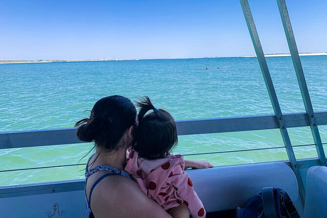 Pensacola Beach Jolly Dolphin Cruise and Scenic Bay Tour - Finding dolphins in their own waters
