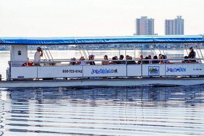 Pensacola Beach Jolly Dolphin Cruise and Scenic Bay Tour - Shorebirds, turtles, and the smaller discoveries
