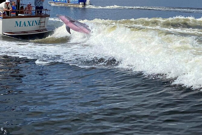 Pensacola Frisky Dolphin Sightseeing Bay Cruise - The Crew Makes The Difference