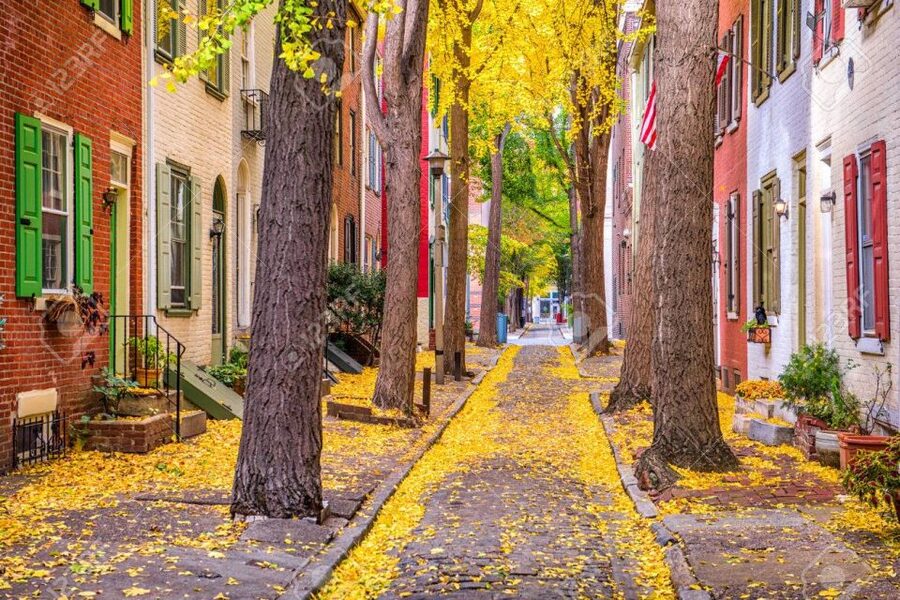 Philadelphia: Revolution and The Founders History Tour - Why the guide matters more than the route