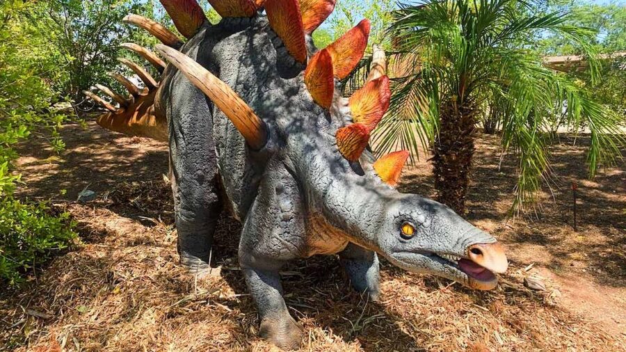 Phoenix Zoo One Day General Admission Ticket - What a $39 Phoenix Zoo ticket includes