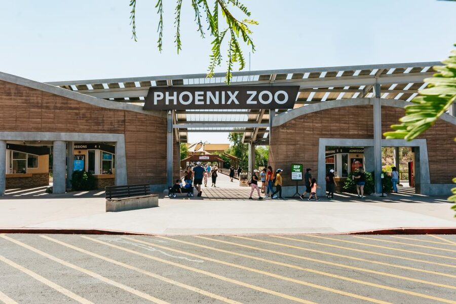 Phoenix Zoo One Day General Admission Ticket - Big Cats of Arizona and the zoo’s headline animals